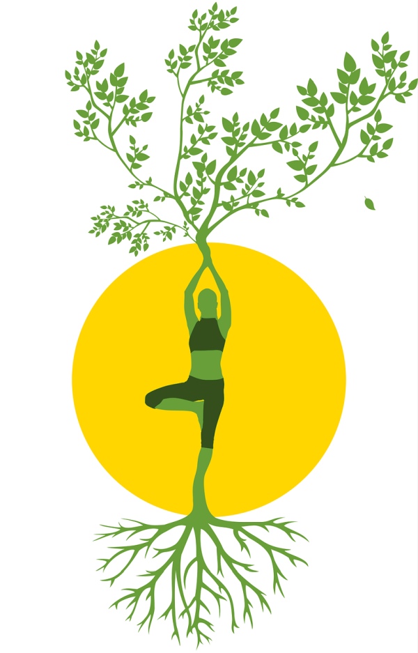 L'arbre du yoga améliore l'ancrage et aide à être zen