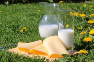 produits laitiers : à consommer avec modération en alimentation saine